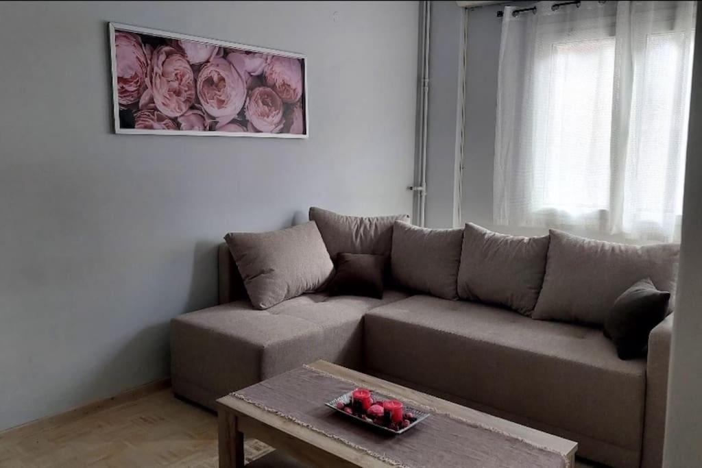 Corfu Nephiria'S Cozy Apt In Kerkira!アパートメント エクステリア 写真